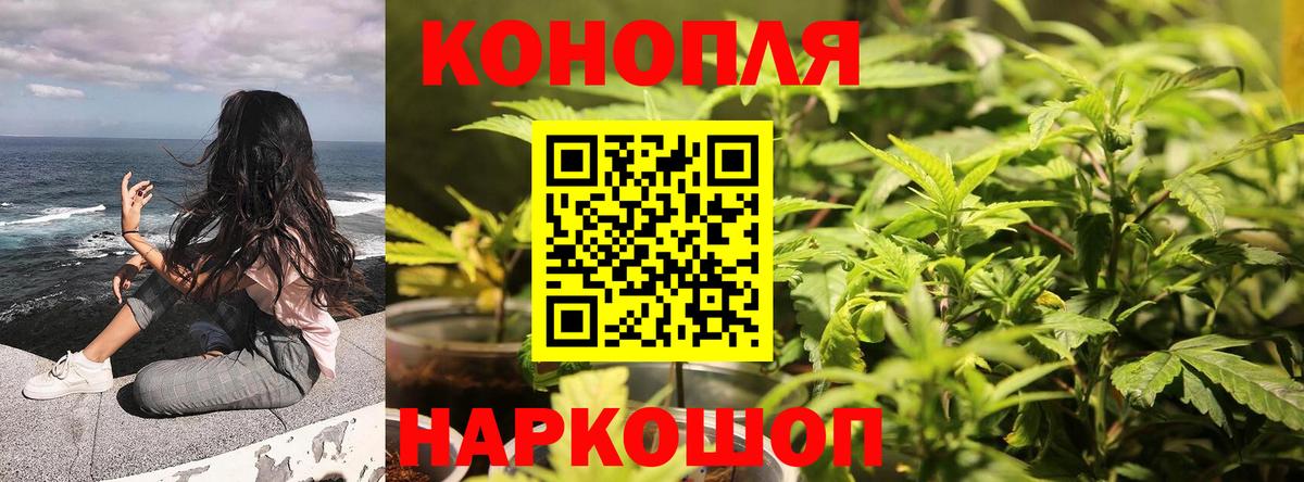 Донской  Марихуана THC 21%  Конопля семена  Канабис гибрид  Вход с VPN 